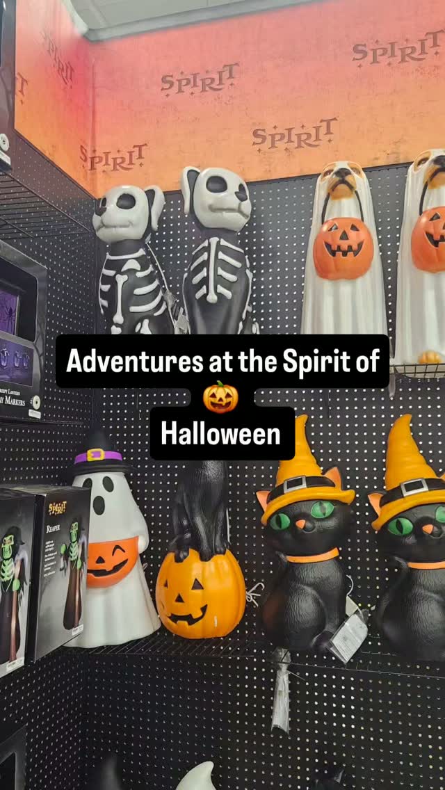 Adventures during a #codeorange over at #spiritofhalloween with @djblackrose #halloween #spookylife