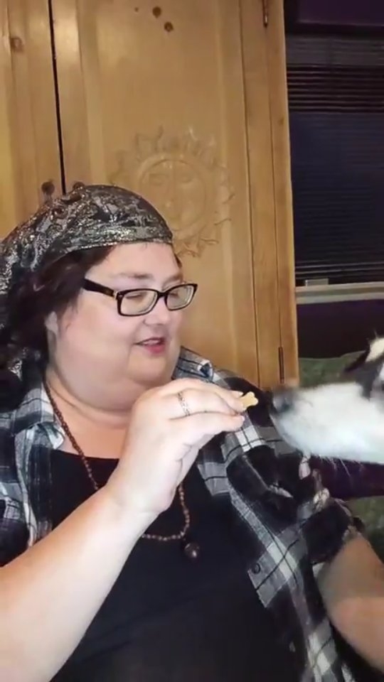 Available for Parties, Viking Funerals, and Readings.
Tips always welcome.
Venmo: @auntiepanpan 
Zelle: 7142745985
AuntiePanPan has been doing the shenanigans of WooWoo since she was 12 years old (at least!)
A fiber artist, An Oracle, An Aura painter, a Teacher in the Craft as well as a cartoonist of 'Goth Love is' on Webtoons. Can be found stalking various coffee houses and tea rooms dressed up as a conglomeration of a goth that found tie dye and woke up at the Renaissance Faire after the Fleetwood Mac concert of 1979. She is the Hexs part of the Company @hexsandvexs (the Vexs part is her husband that cool guy in the kilt that makes spiders out of leather) when you can't find her, she's hanging out with her dog, Awoo a Husky Dachshund mix (@awoothedusky), drinking Chai tea and writing poems
tea and writing poems about bagels. www.auntiepanpan.com