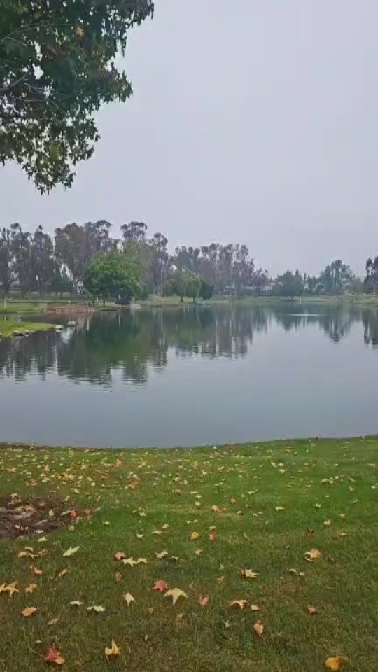 Even when its overcast...theres always a rainbow at packwalk 
🌈