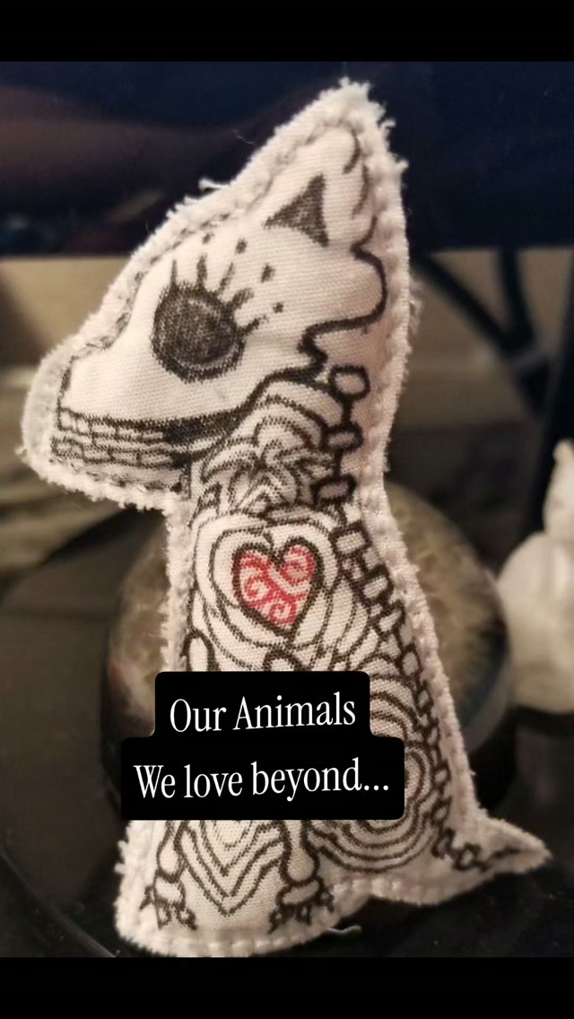 #animalofrenda #october27 #animals are family #petslover