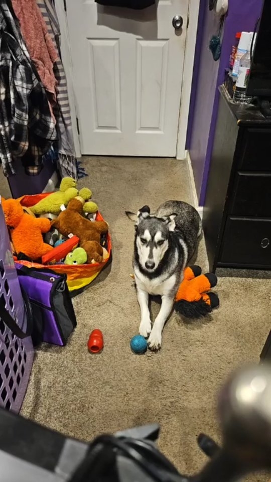 Available for Parties, Viking Funerals, and Readings.
Tips always welcome.
Venmo: @auntiepanpan 
Zelle: 7142745985

AuntiePanPan has been doing the shenanigans of WooWoo since she was 12 years old (at least!)

A fiber artist, An Oracle, An Aura painter, a Teacher in the Craft as well as a cartoonist of 'Goth Love is' on Webtoons. Can be found stalking various coffee houses and tea rooms dressed up as a conglomeration of a goth that found tie dye and woke up at the Renaissance Faire after the Fleetwood Mac concert of 1979. She is the Hexs part of the Company @hexsandvexs (the Vexs part is her husband that cool guy in the kilt that makes spiders out of leather) when you can't find her, she's hanging out with her dog, Awoo a Husky Dachshund mix (@awoothedusky), drinking Chai tea and writing poems
about bagels. www.auntiepanpan.com
 about bagels.